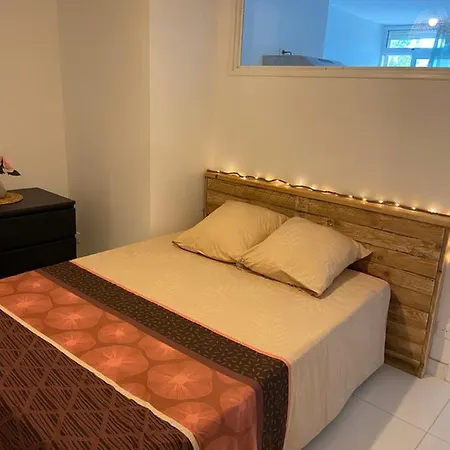 Le P'tit Mandarinier 公寓 *