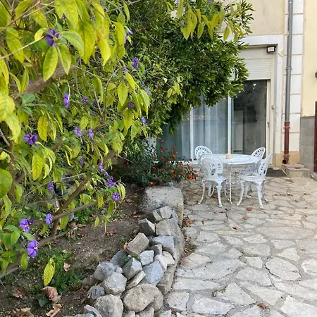 Le P'tit Mandarinier Canet (Aude)