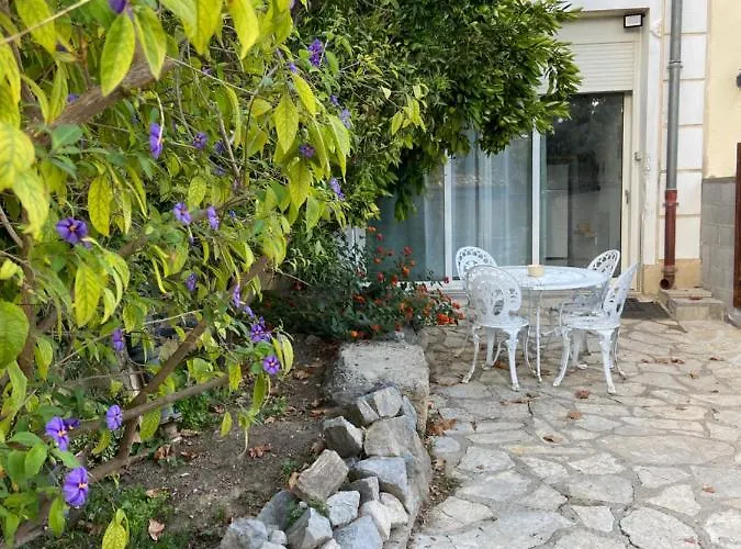 Le P'tit Mandarinier Canet (Aude)